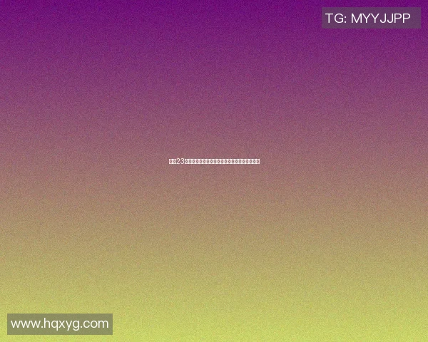 探寻23号背后的传奇篮球明星与他的辉煌成就与影响力