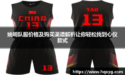 姚明队服价格及购买渠道解析让你轻松找到心仪款式