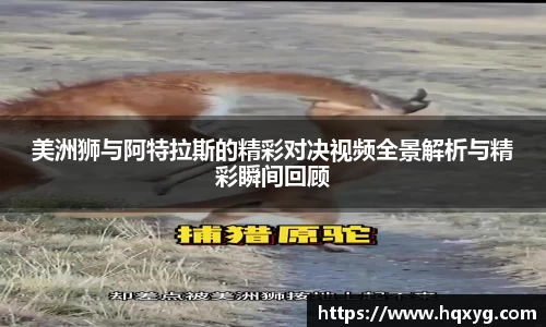 美洲狮与阿特拉斯的精彩对决视频全景解析与精彩瞬间回顾